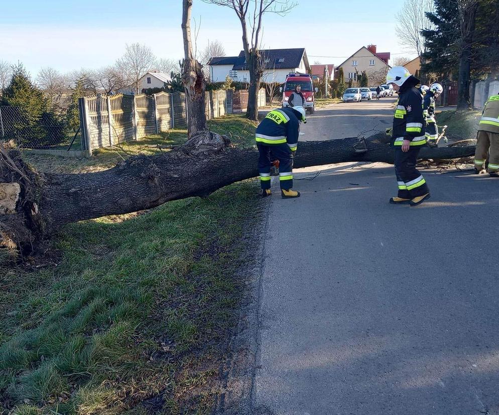 Wichury do 110 km/h atakują! Ponure oblicze jesieni dotrze też do Polski