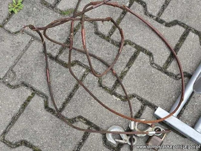 Przywiązał psa stalową linką do samochodu. 36-latek tłumaczył, że zwierzę niszczy mieszkanie