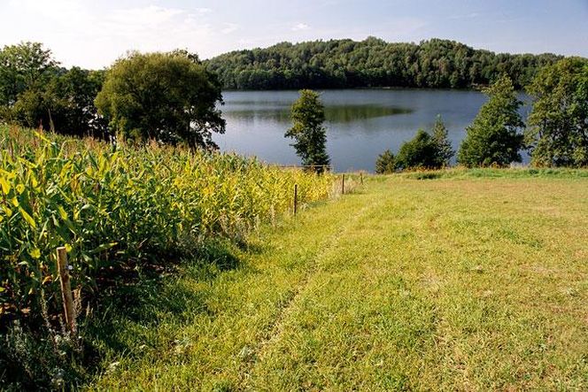 Jezioro Hańcza w woj. podlaskim