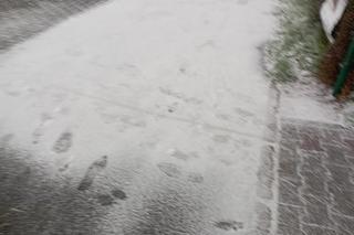 Zima w Poznaniu. Pierwszy śnieg spadł w Wielkopolsce