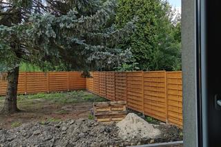 Poniemiecki dom w Zabrzu