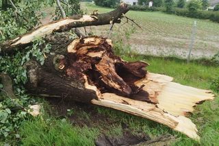 Skutki gwałtownych burz 7 czerwca 2025 w północnej części Lubelszczyzny