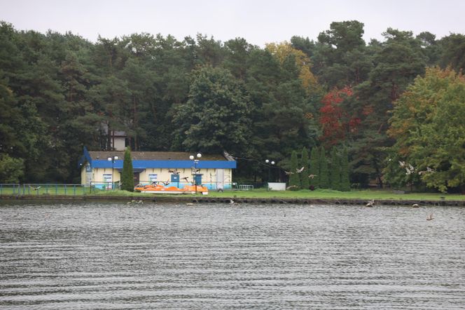 Deszczowy spacer w obiektywie. Tak się prezentuje Zalew Zemborzycki w jesiennej odsłonionie