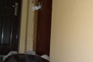 KOBIETA ZARŻNĘŁA KOCHANKA.