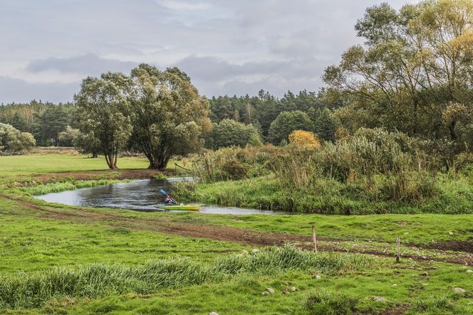 Bachotek i okolica