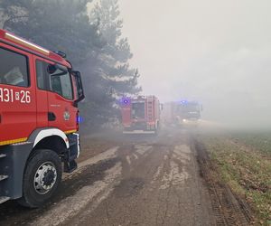 Ogromny pożar hali na Podkarpaciu! W akcji ponad 100 strażaków