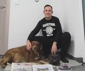 Bobi to najstarszy pies świata. Właśnie skończył 31 lat. Naukowcy badają sekret jego długowieczności 