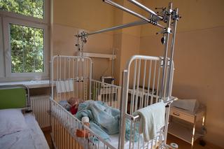 SPADŁ Z 3 PIĘTRA I ZAWISŁ NA DRZEWIE