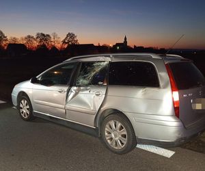 Śmiertelny wypadek pod Dzierżoniowem. Nie żyją 37- i 60-latek [ZDJĘCIA].