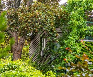 Willa Romualda Gutta na Kolonii Profesorskiej w Warszawie