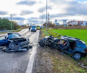 Śmiertelny wypadek na DW 184 w Mrowinie