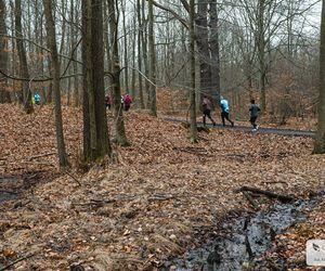 Biegacze City Trail Katowice dobiegli do mety sezonu