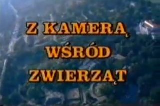 PRL-owskie programy telewizyjne