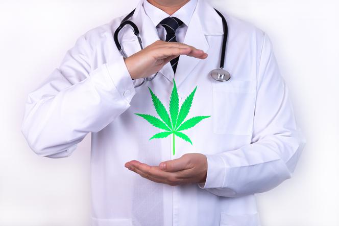 Lecznicza marihuana – właściwości, zastosowanie, efekty działania medycznej marihuany 