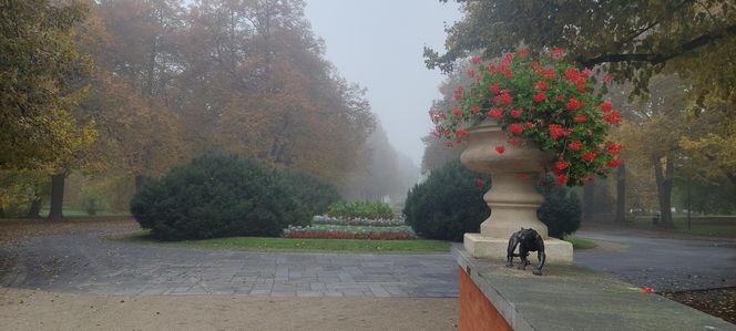 Zamojski Park jesienią