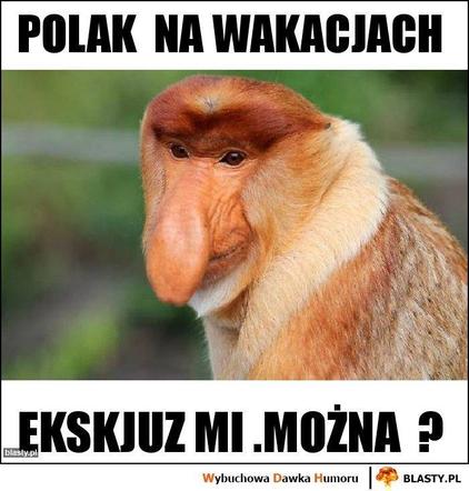 Wakacje all inclusive. Oto najlepsze memy tego lata!
