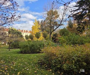 Jesień w Ogrodzie Botanicznym UKW. To ostatnia szansa na spacer wśród złotych liści!