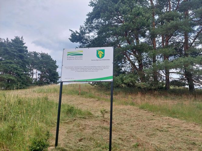 Akcja na polu, gdzie znaleziono Wampirkę z Pnia. Młodzi chodzili z detektorami, niedługo wracają tam archeolodzy