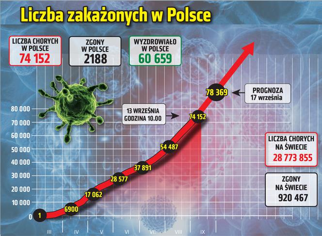 Koronawirus w Polsce. Ile jest dziś zakażeń? Raport: 13.09.2020