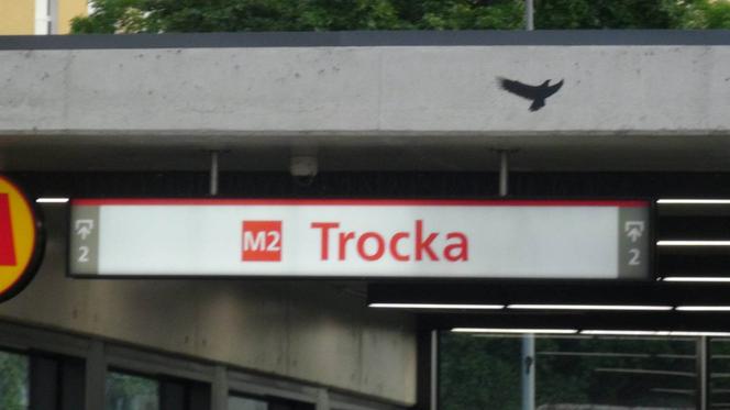 Tragedia w metrze. Pasażer wpadł pod pociąg, nie było szans na ratunek 