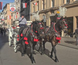 To miasto w Małopolsce jest nazywane Barceloną Południa. Mało kto wie, że jest większe od hiszpańskiego hitu turystycznego 