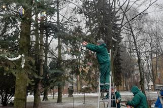 Choinka na LSM jest już ozdobiona. Dzieci przygotowały recyklingowe ozdoby [GALERIA, WIDEO]