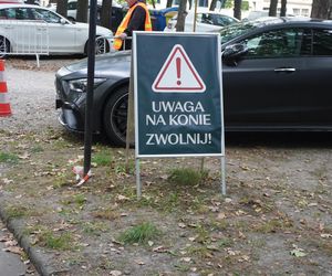 Znak na terenie Toru Wyścigów Konnych Służewiec