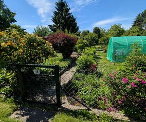 Do zabicia przyznał się podczas spowiedzi. Pobił Monikę tak mocno, że złamał sobie rękę