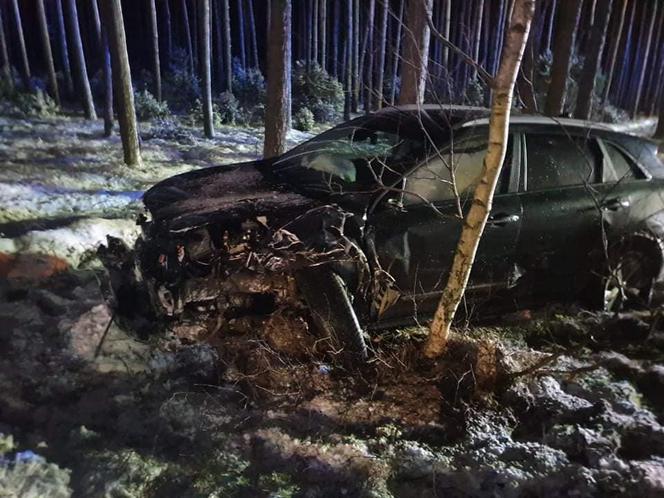 Wypadek na DK 10 w pod Bydgoszczą! Jedna osoba poszkodowana [ZDJĘCIA]