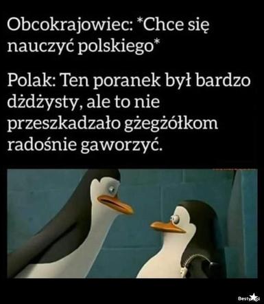 Tak się śmieją z Polski i Polaków! TOP 40 najśmieszniejszych memów