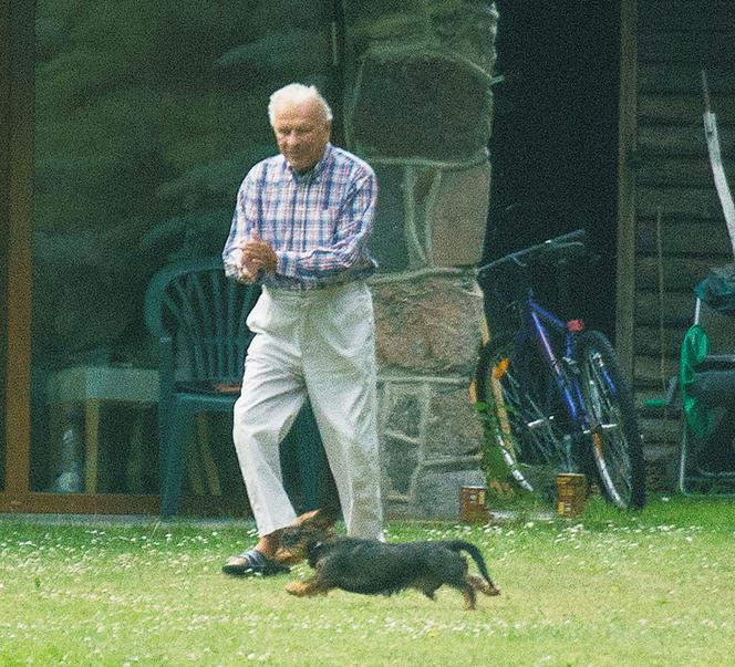 Kat pyta, czy ma honor