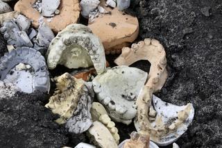 Nie uwierzycie czym zasypali dziury w drodze! Zamiast drogowców na ulice wyjechali dentyści