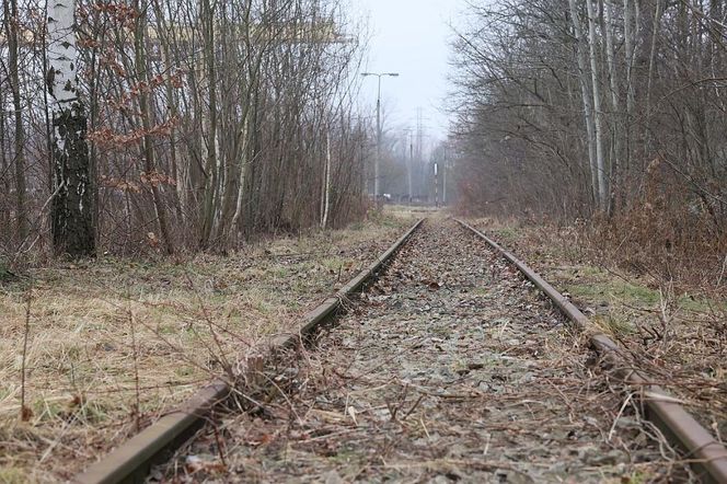 Zamiast dawnego szybu powstanie nowoczesna baza techniczna. Koleje Śląskie zawarły porozumienie z PGG 