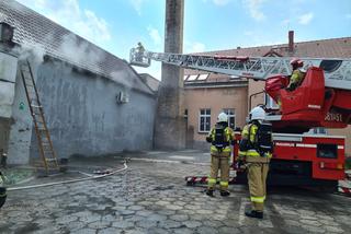 Duże straty po pożarze na Zaborowie w Lesznie