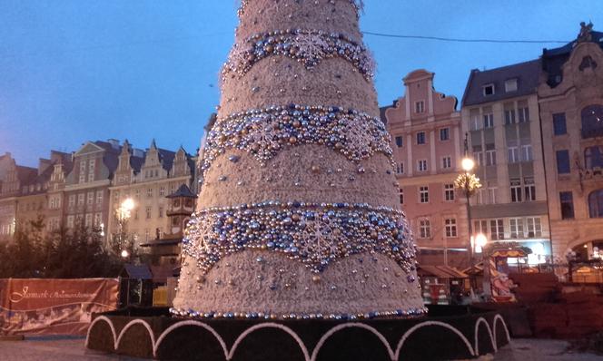 Choinka na wrocławskim rynku