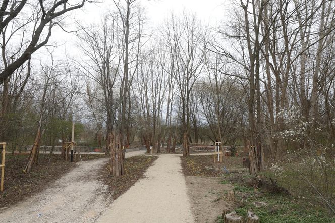 W Warszawie powstaje drugie "lapidarium". Miasto nie usunie betonowych odpadów. "To artefakty"