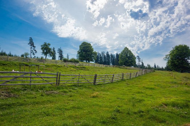 Lipnica Wielka (woj. małopolskie)