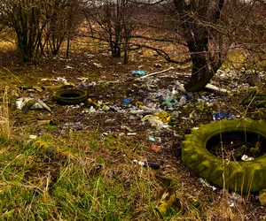 Toruń. Problem wciąż powraca i stwarza ogromne zagrożenie