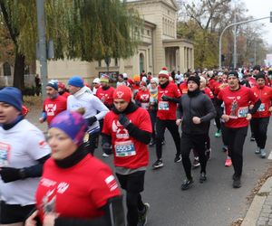 Bieg Niepodległości RUNPOLAND w Poznaniu