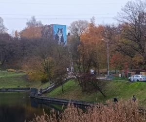Mural z kotem Gackiem już odsłonięty