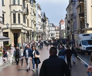 Tłumy na toruńskiej starówce. Wycieczki szkolne ruszyły do grodu Kopernika