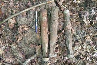 Bomby przeciwlotnicze pod Wągrowcem! Niezwykłe znalezisko w lesie