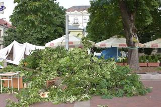 Zamość. Potężny konar runął na ludzi. 9 osób w szpitalu