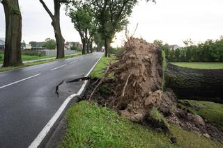 Przed nami kolejne nawałnice. IMGW planuje wydać ostrzeżenia. Gdzie pojawią się burze?