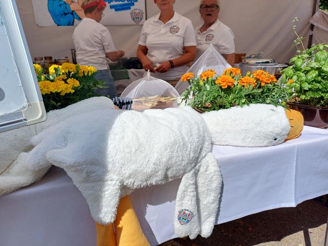 Było ... smacznie, gwarno i bardzo tłoczno! Za nami Ogólnopolski Festiwal Pasztetników i Potraw z Gęsi