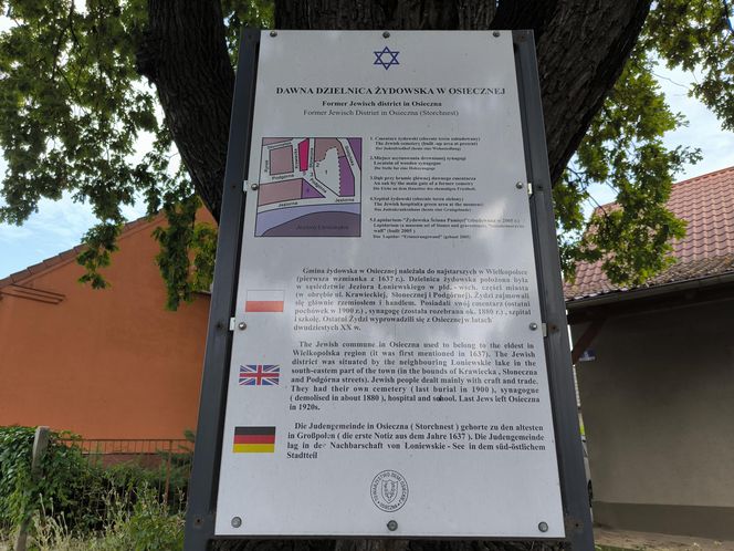 Lapidarium i stary cmentarz żydowski w Osiecznej