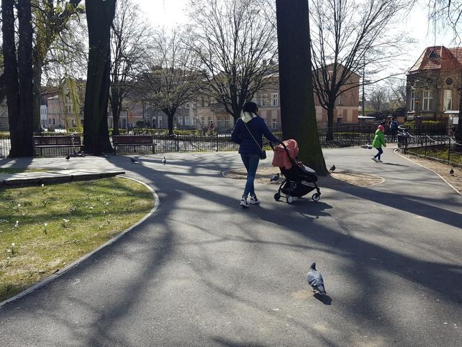Kończy się czwarty etap rewitalizacji parku na Pl. Kościuszki w Lesznie