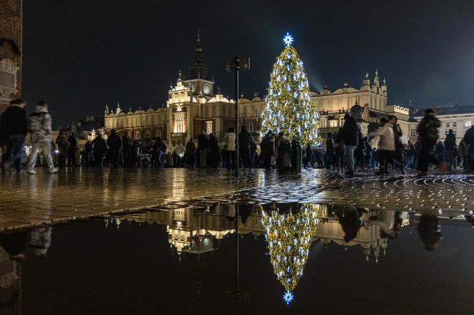 Najpiękniejsza choinka na świecie znajduje się w Polsce! Gdzie ją zobaczyć? 