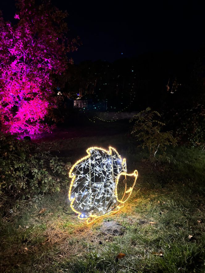 Otwarcie Lumina Parku w Poznaniu. Tegoroczne świecące miasteczko robi fenomenalne wrażenie!