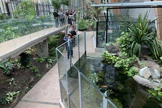 Egzotarium w Sosnowcu gotowe. Tak wygląda przed otwarciem